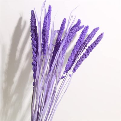 10Pcs Real Dry Flower Bouquet Natural Dried Flower Black Pampas Grass Wheat Grain Home Wedding Table Decoration Dry Plants Purple 10Pcs