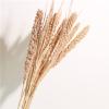 10Pcs Real Dry Flower Bouquet Natural Dried Flower Black Pampas Grass Wheat Grain Home Wedding Table Decoration Dry Plants Purple 10Pcs view 3