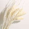 10Pcs Real Dry Flower Bouquet Natural Dried Flower Black Pampas Grass Wheat Grain Home Wedding Table Decoration Dry Plants Purple 10Pcs view 4
