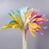 10PCS Real Plant Flower Grain Wheat Ears Dried Natural Flowers Bouquet Wedding Marriage Decoration DIY Material Home Room Decor Orange view 3