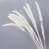 10PCS Real Plant Flower Grain Wheat Ears Dried Natural Flowers Bouquet Wedding Marriage Decoration DIY Material Home Room Decor Orange view 4