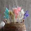 15Pcs Real Dry Flower Rabbit Tail Grass Dried Natural Flowers Pampas Grass Wedding Marriage Decoration Home Table Accessories White 15pcs view 4