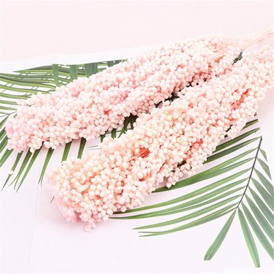 2Pcs Natural Dried Flowers Preserved Sorghum Bouquet,Eternelle Display Flowers Wedding Home Party Decoration Accessories 1 Ltpink 2pcs no vase