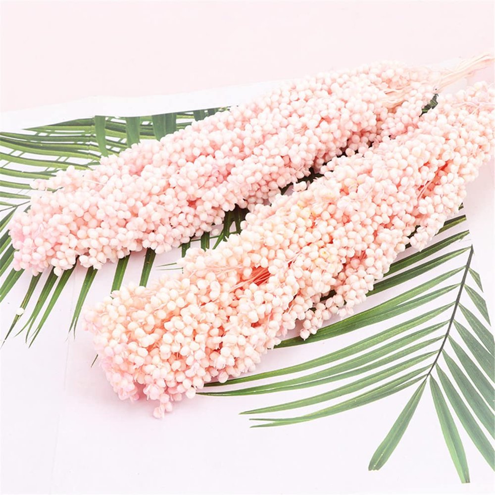 2Pcs Natural Dried Flowers Preserved Sorghum Bouquet,Eternelle Display Flowers Wedding Home Party Decoration Accessories 1 Ltpink 2pcs no vase