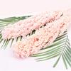 2Pcs Natural Dried Flowers Preserved Sorghum Bouquet,Eternelle Display Flowers Wedding Home Party Decoration Accessories 1 Ltpink 2pcs no vase view 1