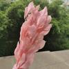 5Pcs/40Cm,Natural Preserved Orange Leaf Bouquet,Display Eternell Dracaena Flowers Branch for Wedding Party Home Decoration pink1 view 1
