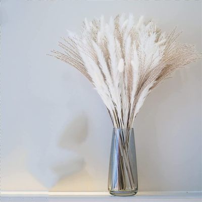 70 Stems/Bunch Pampas Flower Arrangement Wedding Dried Flower Bouquets Aesthetic Pampas Grass Bedroom Coffee Table Decoration 70 Stems About 55cm(No Vase)