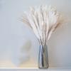 70 Stems/Bunch Pampas Flower Arrangement Wedding Dried Flower Bouquets Aesthetic Pampas Grass Bedroom Coffee Table Decoration 70 Stems About 55cm(No Vase) view 1