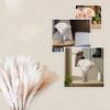 70 Stems/Bunch Pampas Flower Arrangement Wedding Dried Flower Bouquets Aesthetic Pampas Grass Bedroom Coffee Table Decoration 70 Stems About 55cm(No Vase) view 3