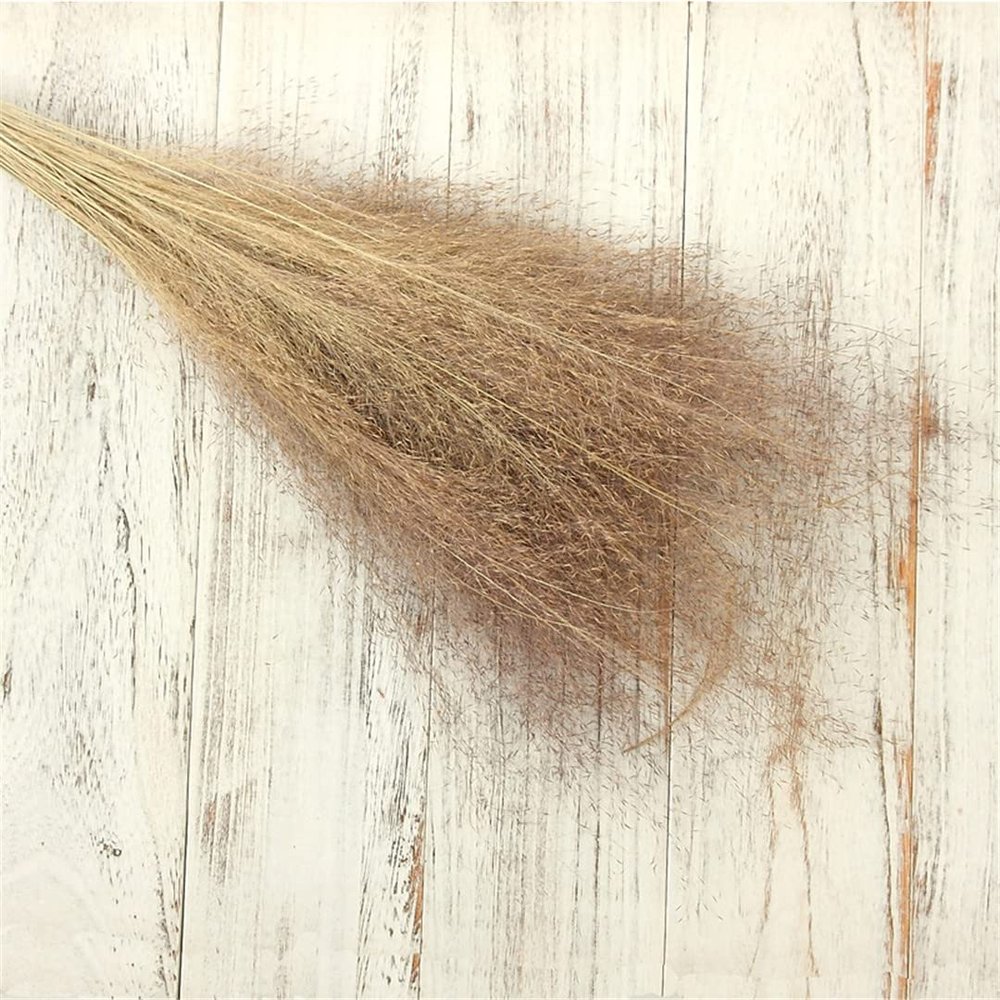 50Pcs/Bouquet,Dry Flowers Natural Preserved Flowers,Real Eternal Plant Grass for Wedding Party Home Table Decoration Accessories Primary 1 Bouquet 50pcs