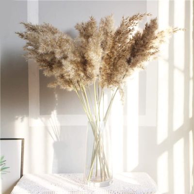 15Pcs Dried Pampas Grass Natural Phragmites Reed Wedding Flowers Decoration Table Bulrush Party Dry Flower Bunch Home Decor 20pcs no vase 60cm
