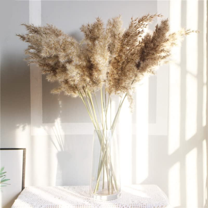 15Pcs Dried Pampas Grass Natural Phragmites Reed Wedding Flowers Decoration Table Bulrush Party Dry Flower Bunch Home Decor 20pcs no vase 60cm
