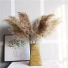 15Pcs Dried Pampas Grass Natural Phragmites Reed Wedding Flowers Decoration Table Bulrush Party Dry Flower Bunch Home Decor 20pcs no vase 60cm view 2