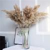 15Pcs Dried Pampas Grass Natural Phragmites Reed Wedding Flowers Decoration Table Bulrush Party Dry Flower Bunch Home Decor 20pcs no vase 60cm view 4