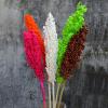 2Pcs Natural Dried Flowers Preserved Sorghum Bouquet,Eternelle Display Flowers Wedding Home Party Decoration Accessories 1 Beige 2pcs no vase view 2