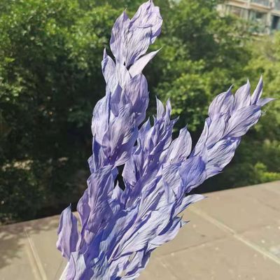 5Pcs/40Cm,Natural Preserved Orange Leaf Bouquet,Display Eternell Dracaena Flowers Branch for Wedding Party Home Decoration Purple