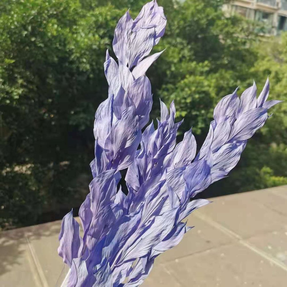 5Pcs/40Cm,Natural Preserved Orange Leaf Bouquet,Display Eternell Dracaena Flowers Branch for Wedding Party Home Decoration Purple