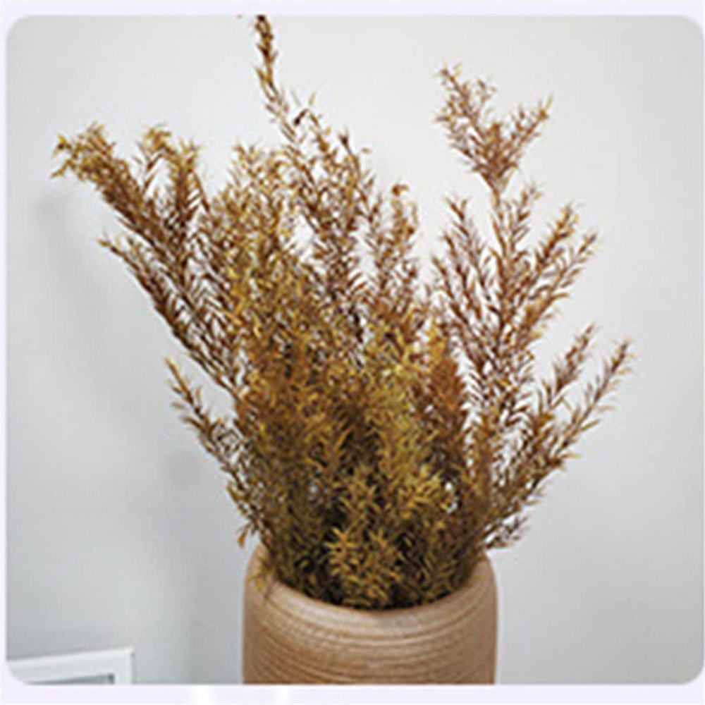1 Bouquet Real Dried Natural Preserved Flowers Bouquet,Decorative Eternal Grass for Home Decoration Yellow one bouqurt no vase