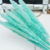 15Pcs Dried Small Pampas Grass Flowers Artificial Plants for Decoration Real Plants Home Decor Wedding Decoration Blue 15Pcs view 1