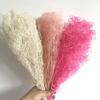 35-40G Beauty Flowers Forever Dried Million Babybreath Bouquet,Nature Dry Eternell Gypsophila Flower,Mini Babys Breath for Home 08 view 3