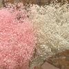 35-40G Beauty Flowers Forever Dried Million Babybreath Bouquet,Nature Dry Eternell Gypsophila Flower,Mini Babys Breath for Home 08 view 4
