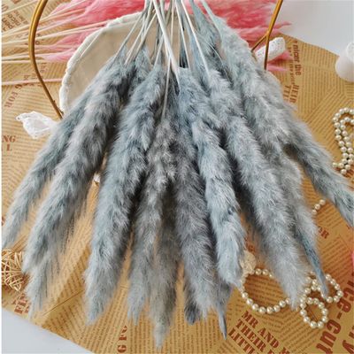 001 Dry Bulrush Reed Plant Small Pampas Grass Decor Phragmites for Home Wedding Marriage Decoration Window Pampas Flower F 001 30pcs no vase