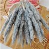 001 Dry Bulrush Reed Plant Small Pampas Grass Decor Phragmites for Home Wedding Marriage Decoration Window Pampas Flower F 001 30pcs no vase view 1