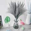 001 Dry Bulrush Reed Plant Small Pampas Grass Decor Phragmites for Home Wedding Marriage Decoration Window Pampas Flower F 001 30pcs no vase view 2