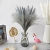 001 Dry Bulrush Reed Plant Small Pampas Grass Decor Phragmites for Home Wedding Marriage Decoration Window Pampas Flower F 001 30pcs no vase view 3