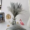 001 Dry Bulrush Reed Plant Small Pampas Grass Decor Phragmites for Home Wedding Marriage Decoration Window Pampas Flower F 001 30pcs no vase view 4