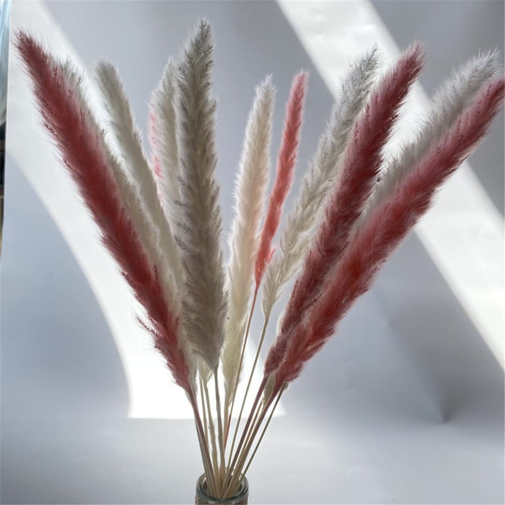 15Pcs Dried Small Pampas Grass Flowers Artificial Plants for Decoration Real Plants Home Decor Wedding Decoration White and Pink 15Pcs