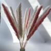 15Pcs Dried Small Pampas Grass Flowers Artificial Plants for Decoration Real Plants Home Decor Wedding Decoration White and Pink 15Pcs view 1