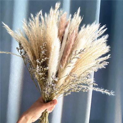 15Pcs Dried Small Pampas Grass Flowers Artificial Plants for Decoration Real Plants Home Decor Wedding Decoration as Chat 15Pcs