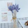 60/30Pcs Natural Pampas Grass Dried Flowers Bouquet Wedding Decorations Easter Decor Rabbit Tail Grass Real Flowers Home Decor 9 60pcs view 1
