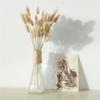 60/30Pcs Natural Pampas Grass Dried Flowers Bouquet Wedding Decorations Easter Decor Rabbit Tail Grass Real Flowers Home Decor 9 60pcs view 2