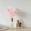 60/30Pcs Natural Pampas Grass Dried Flowers Bouquet Wedding Decorations Easter Decor Rabbit Tail Grass Real Flowers Home Decor 9 60pcs view 3