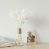 60/30Pcs Natural Pampas Grass Dried Flowers Bouquet Wedding Decorations Easter Decor Rabbit Tail Grass Real Flowers Home Decor 9 60pcs view 4