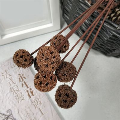 5Pcs Dried Flowers Natural Pine Cone Lotus Acorn Handmade Decorative Home Decoration DIY Crafting Accessories B 5 Pcs