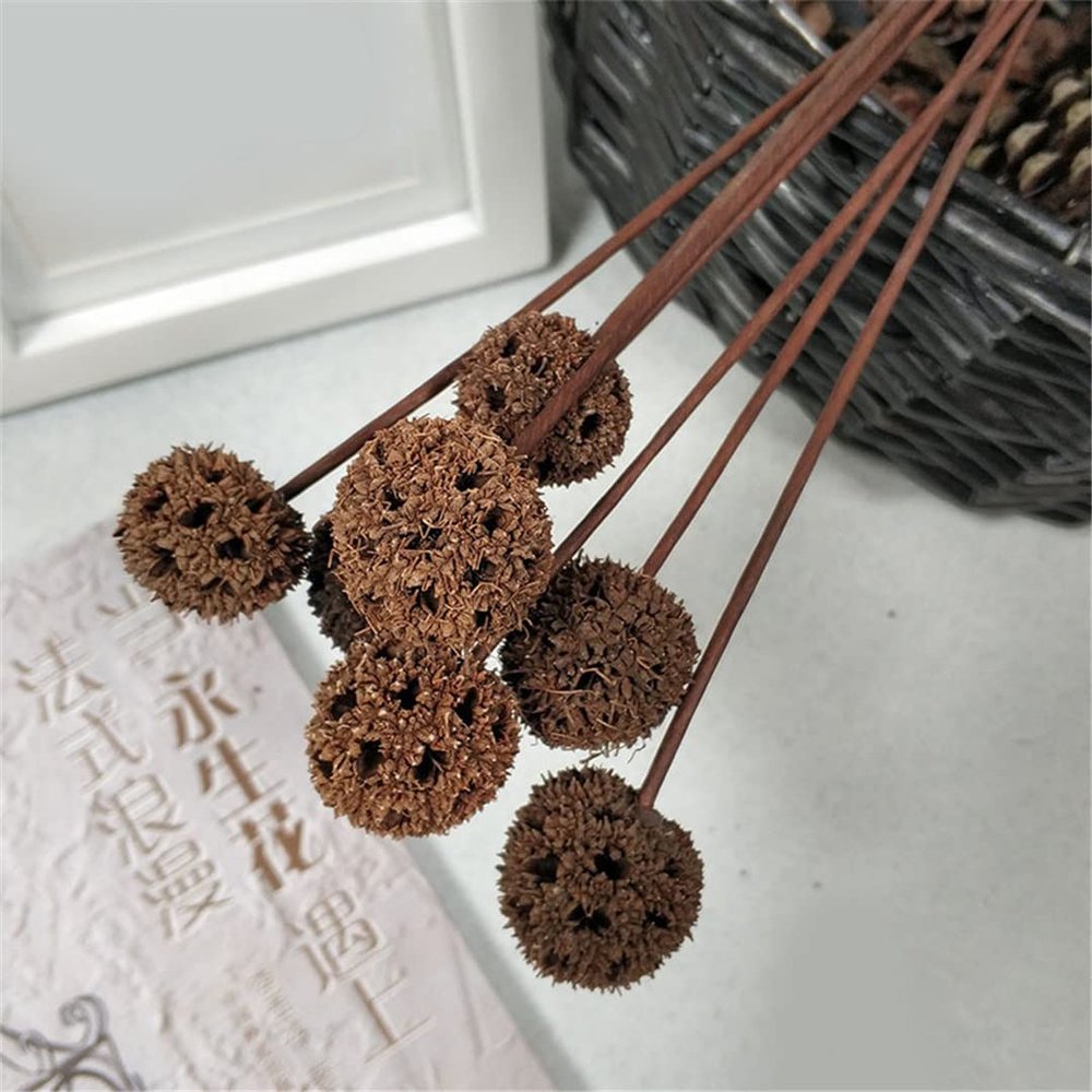 5Pcs Dried Flowers Natural Pine Cone Lotus Acorn Handmade Decorative Home Decoration DIY Crafting Accessories B 5 Pcs