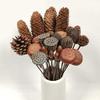 5Pcs Dried Flowers Natural Pine Cone Lotus Acorn Handmade Decorative Home Decoration DIY Crafting Accessories B 5 Pcs view 2