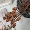 5Pcs Dried Flowers Natural Pine Cone Lotus Acorn Handmade Decorative Home Decoration DIY Crafting Accessories B 5 Pcs view 4