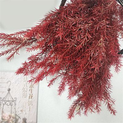 1 Bouquet Real Dried Natural Preserved Flowers Bouquet,Decorative Eternal Grass for Home Decoration red one bouqurt no vase
