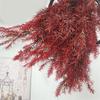 1 Bouquet Real Dried Natural Preserved Flowers Bouquet,Decorative Eternal Grass for Home Decoration red one bouqurt no vase view 1