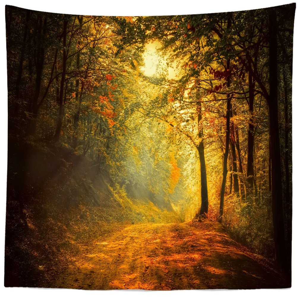 BELECO Autumn Forest Tapestry Wall Hanging 106x70 Inch Fall Scenery Tapestry Mountain Road Forest Sunlight Fallen Leaves Nature Tapestry Art Wall Decor for Bedroom Living Room Dorm