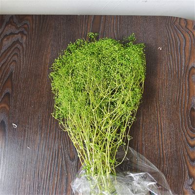 35-40G Beauty Flowers Forever Dried Million Babybreath Bouquet,Nature Dry Eternell Gypsophila Flower,Mini Babys Breath for Home 01