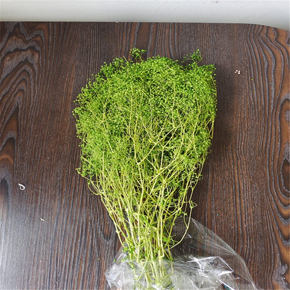 35-40G Beauty Flowers Forever Dried Million Babybreath Bouquet,Nature Dry Eternell Gypsophila Flower,Mini Babys Breath for Home 01