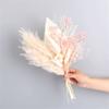 1 Set Wedding Flower Phragmites Reed Rabbit Tail Dried Flower Natural Pampas Grass Decor Christmas Home Living Room Decoration A 35-40cm No Vase view 1