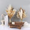 1 Set Wedding Flower Phragmites Reed Rabbit Tail Dried Flower Natural Pampas Grass Decor Christmas Home Living Room Decoration A 35-40cm No Vase view 2