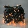 for 50ct Count Teeny Rice Clear Light Set String Green Wire Cord Primitive Craft Seasonal Ornaments Home Dcor view 1