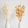 120 PCS Bunny Tails Dried Flowers, Dried Pampas Grass Bouquet, Boho Table Decor, White Pampas Grass small, dried bunny tails, Pampas Grass for Wedding, Home, Rustic Party, Baby Shower Decorations view 1